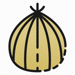 <em>洋葱</em>