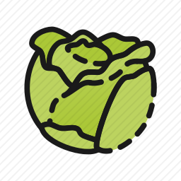 <em>白菜</em>