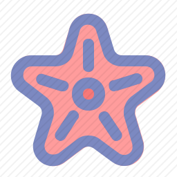 海星