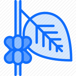 咖啡树