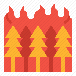 森林火灾