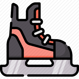 <em>溜冰鞋</em>