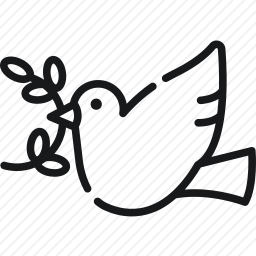 鸽子