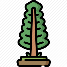 松树