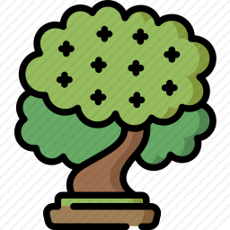 山毛榉