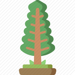 松树