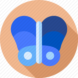 <em>蝴蝶</em>