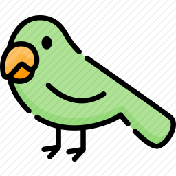 <em>鹦鹉</em>