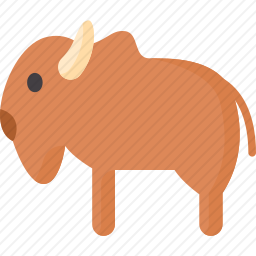 野牛