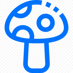 <em>蘑菇</em>