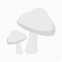 蘑菇