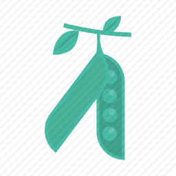 豌豆