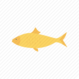鱼
