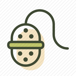 过滤器
