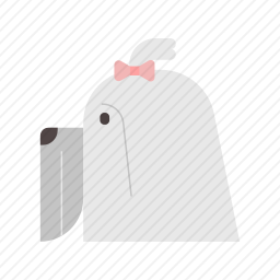 狗