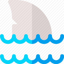 鲨鱼