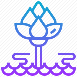 莲花