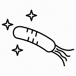 病毒