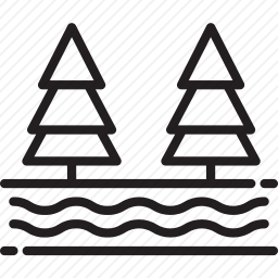 <em>森林</em>
