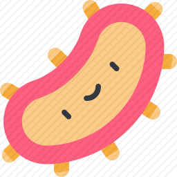 <em>细菌</em>