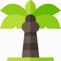 棕榈树