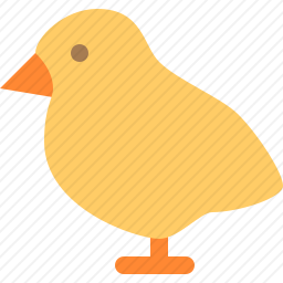 <em>鸡</em>
