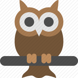 <em>猫头鹰</em>