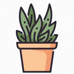 植物