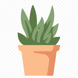 植物