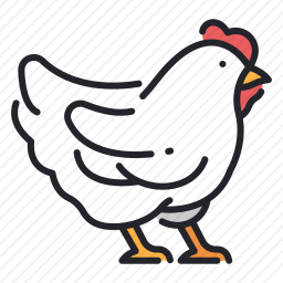 <em>鸡</em>