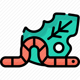 <em>蠕虫</em>