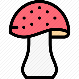 蘑菇