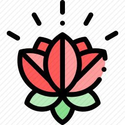 莲花