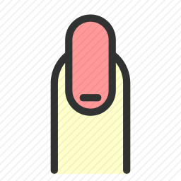 <em>指甲</em>