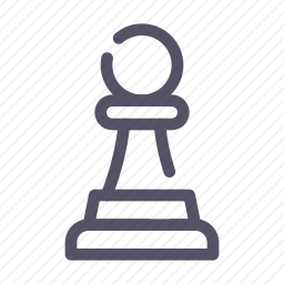 <em>国际象棋</em>