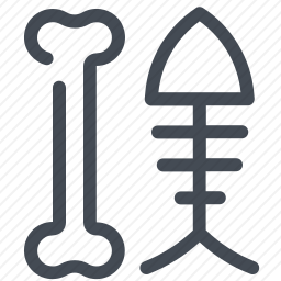 <em>骨头</em>