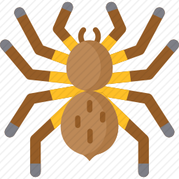 <em>狼</em><em>蛛</em>