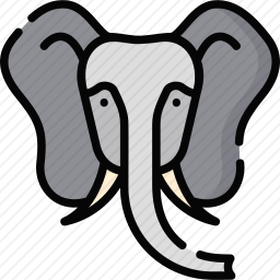 <em>大象</em>