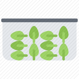 <em>蔬菜</em>