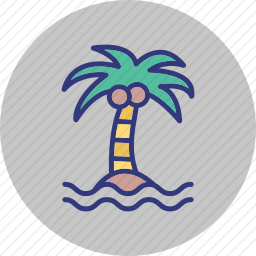 棕榈树