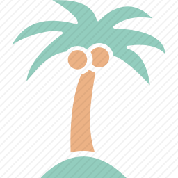 棕榈树
