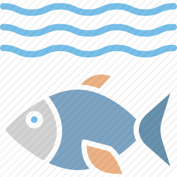 <em>鱼</em>