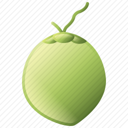 <em>椰子</em>