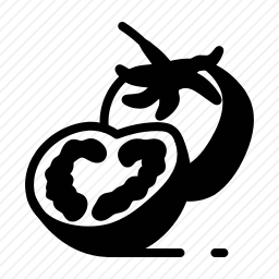 <em>番茄</em>