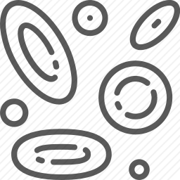 <em>血小板</em>
