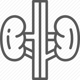 肠道