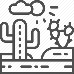 <em>仙人掌</em>