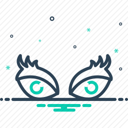 眼睛