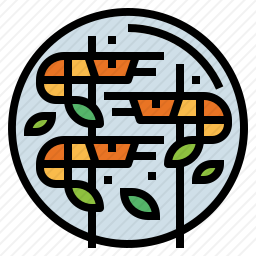 虾