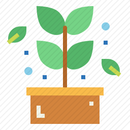 草本植物